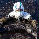 oil spills and human well-being